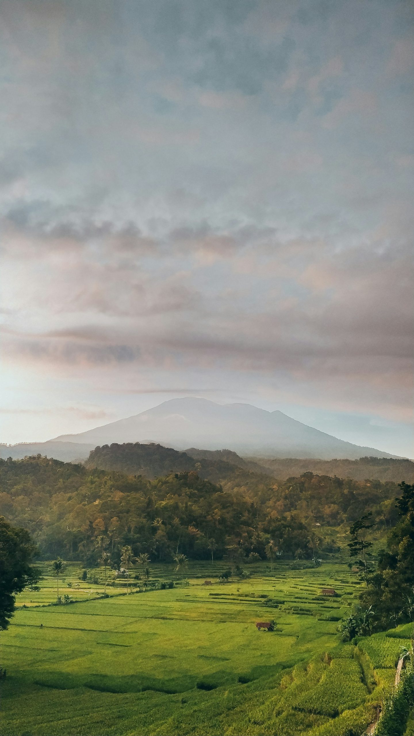 5 Ways Education Can Transform West Java Communities